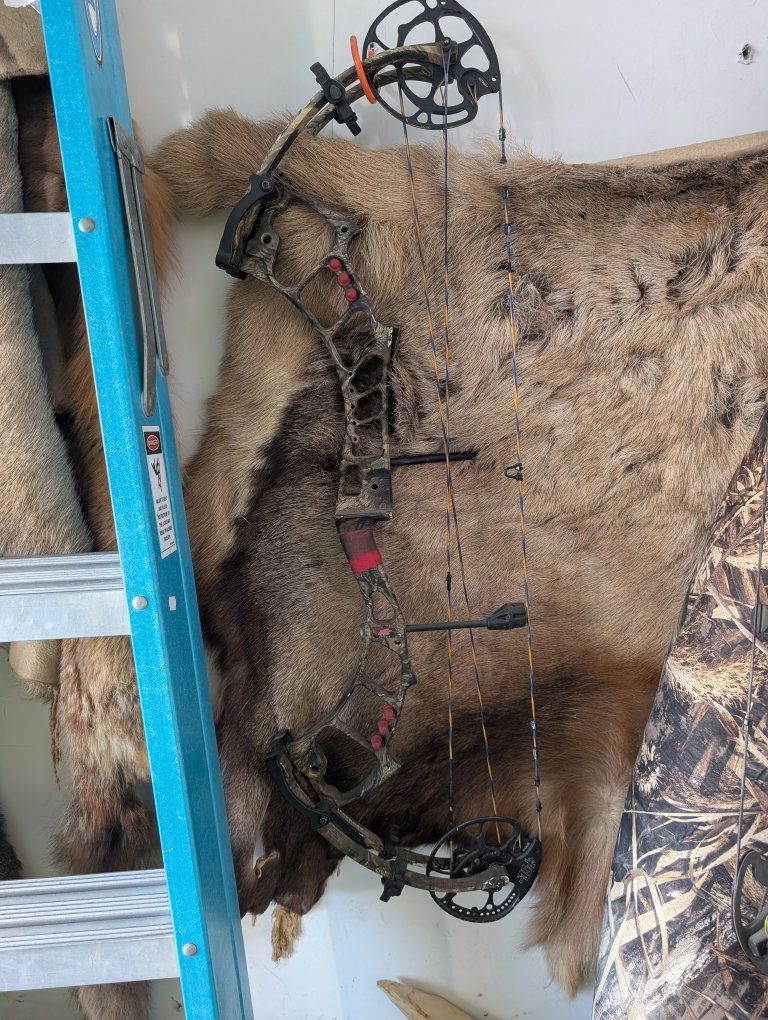 pse bow madness epix