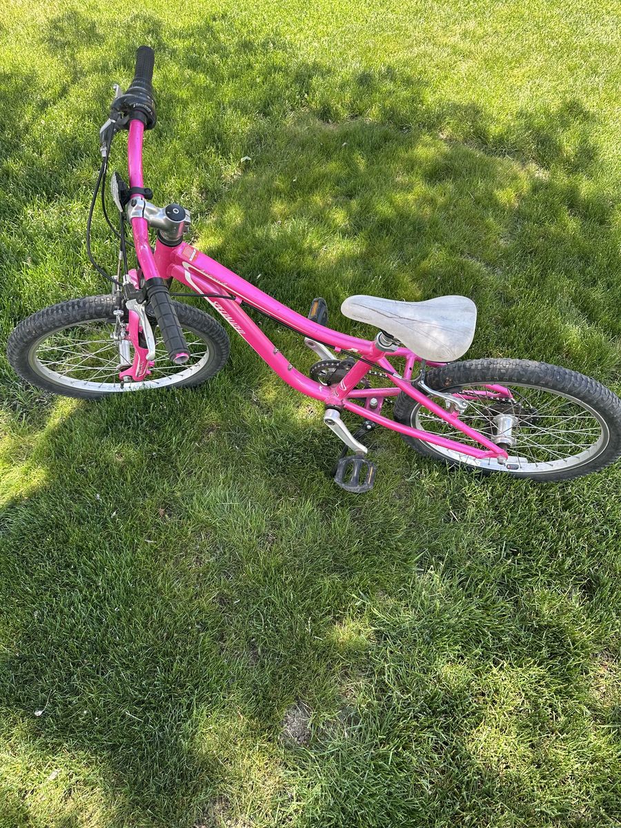 Pink Mountain Bike 20"