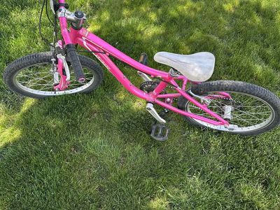 Pink Mountain Bike 20"