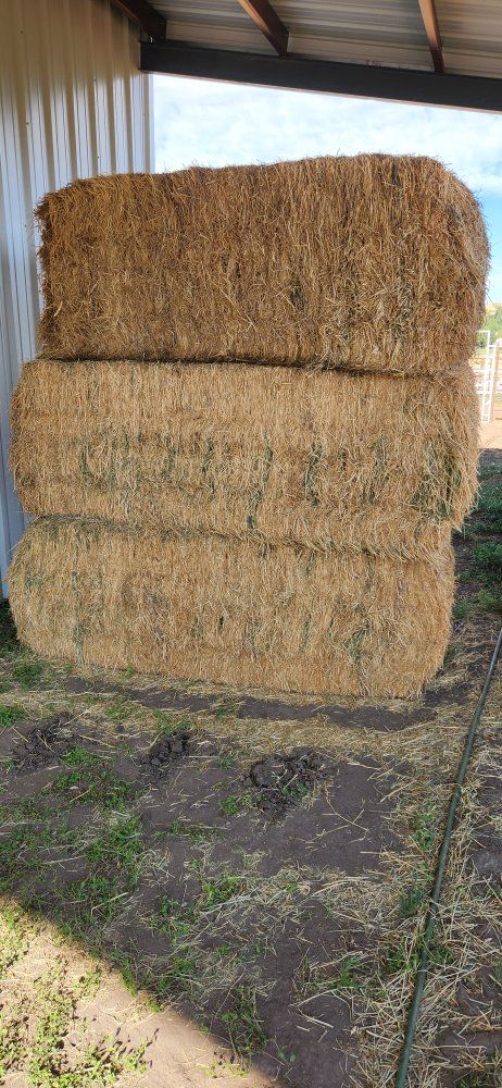 Feeder Hay