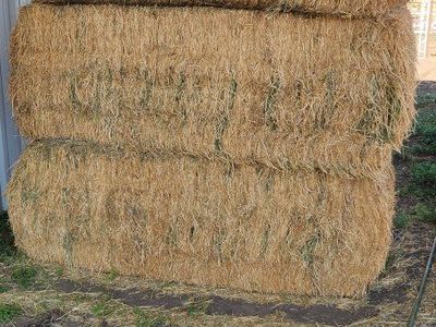 Feeder Hay