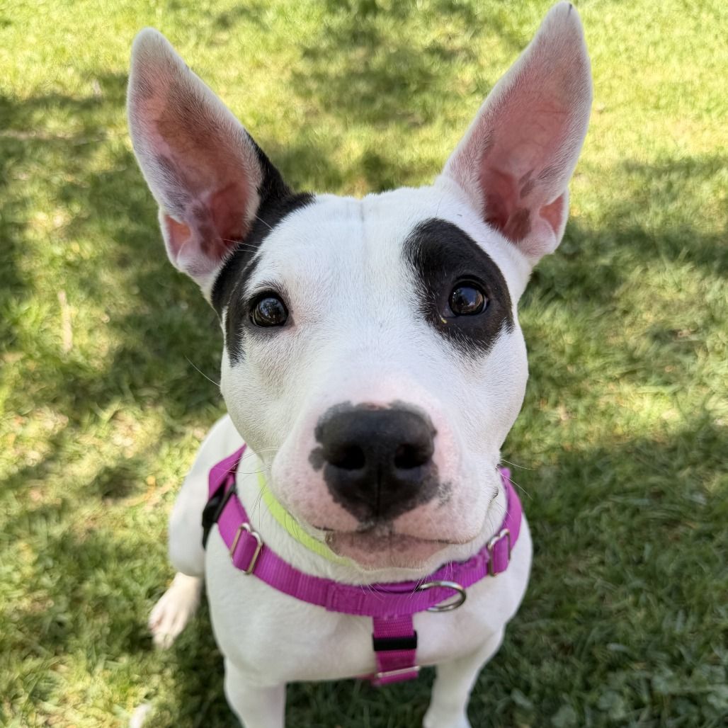 Hello my name is Xena