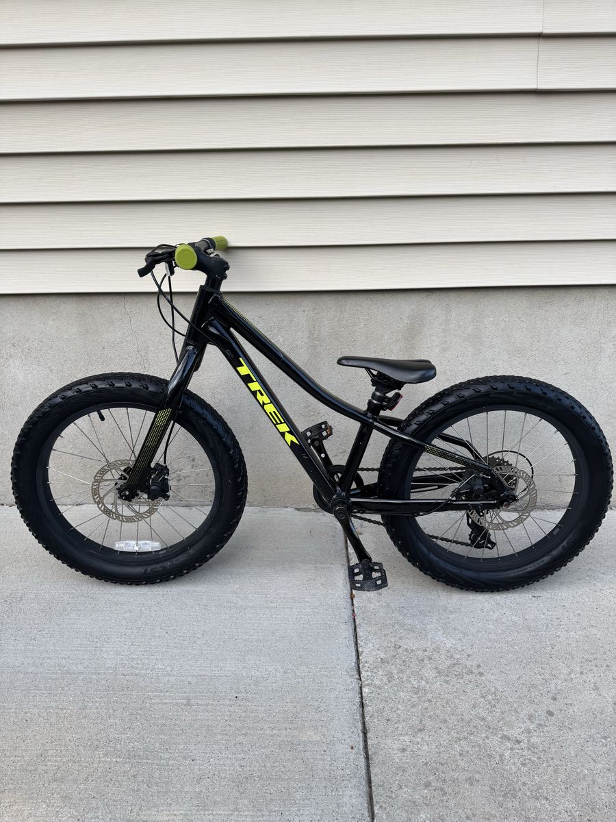 Trek Roscoe 20”