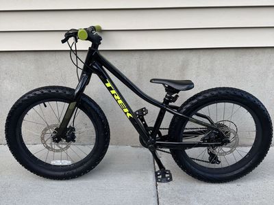 Trek Roscoe 20”