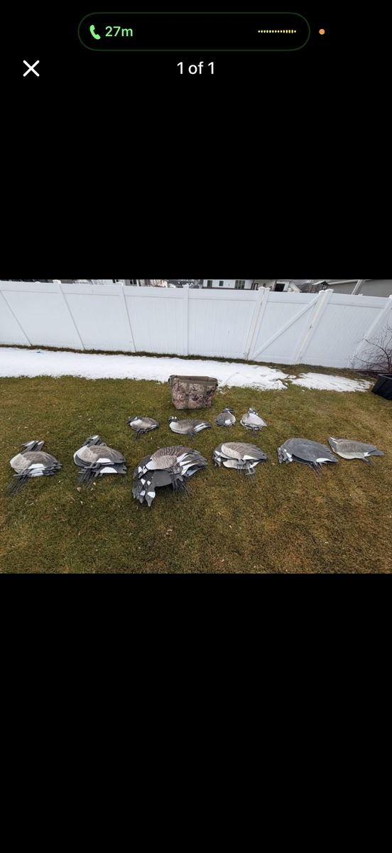Big Al's Silo Goose Decoys - 10 Dozen (120) with Tangle-Free Bag - Mixed Positions