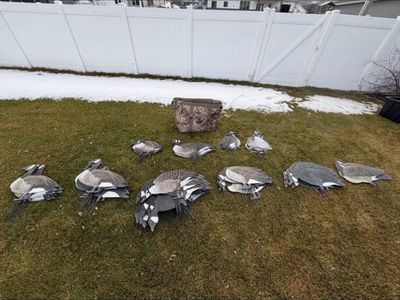 Big Al's Silo Goose Decoys - 10 Dozen (120) with Tangle-Free Bag - Mixed Positions
