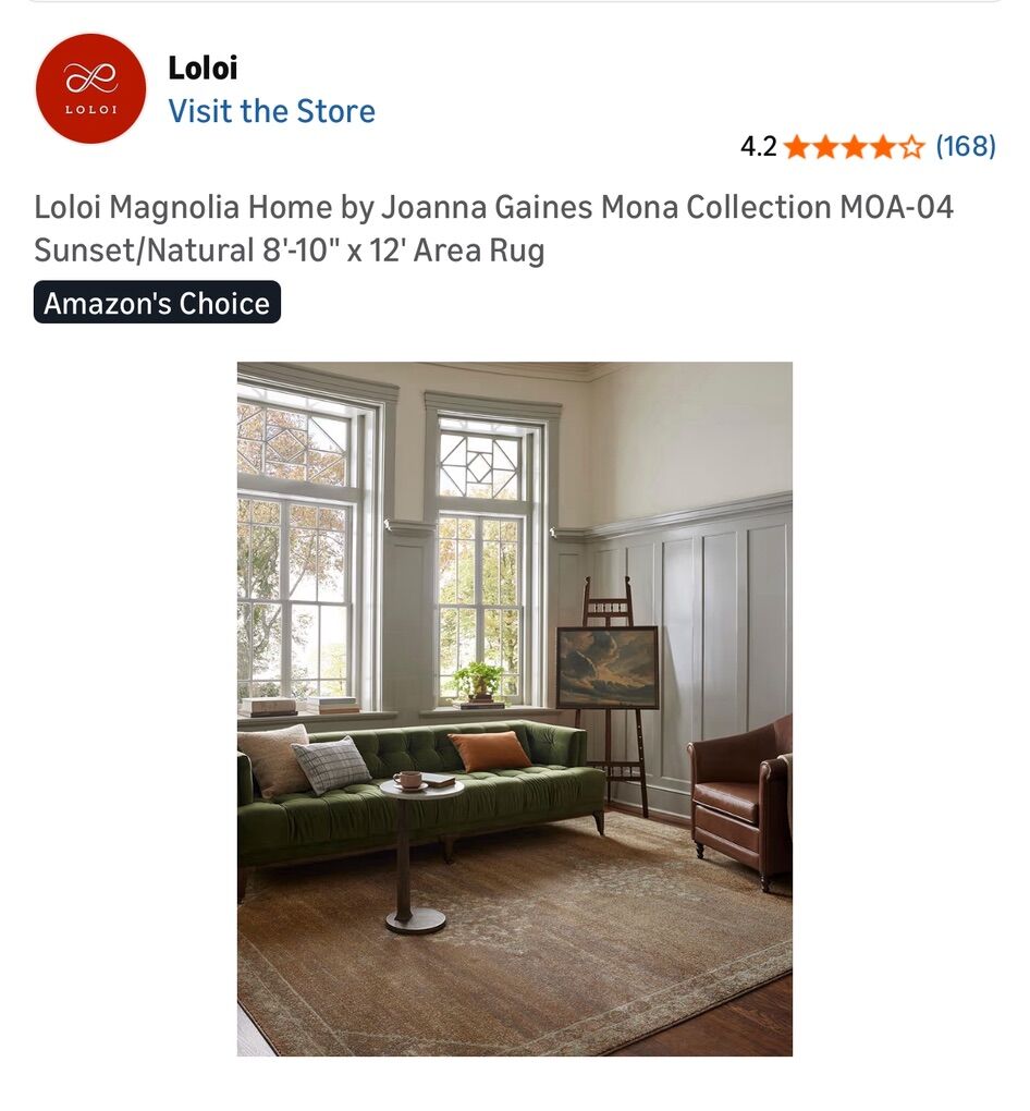 LESS THAN HALF PRICE OF AMAZON! BRAND NEW 8'10” X 12’ Loloi Mona Collection By Magnolia Home/Joanna Gaines Area Rug