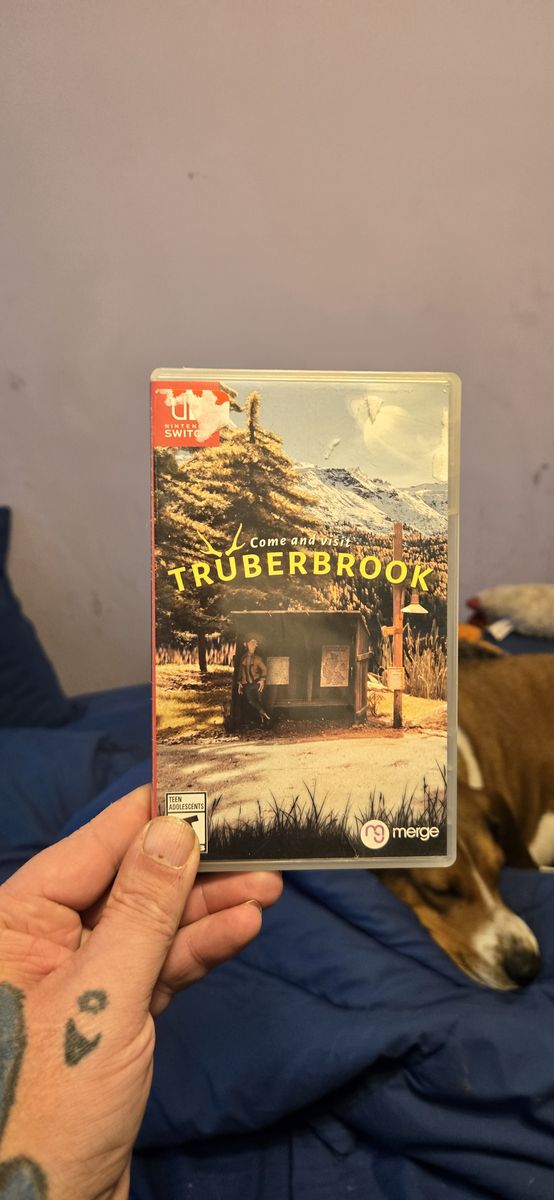 TruberBrook Nintendo switch