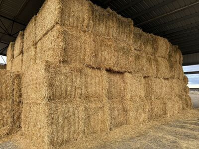 Straw Bales