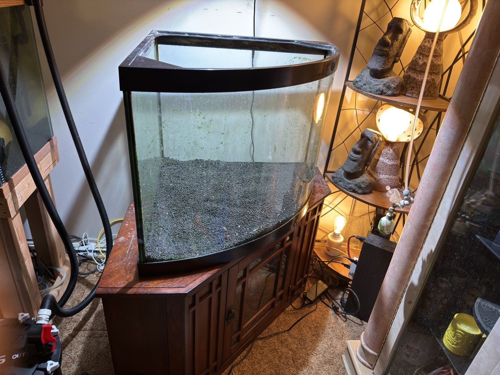 55 gallon corner tank setup with everything