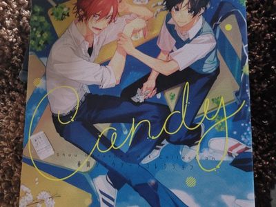 Candy Shou Harusono Art Collection Manga Book