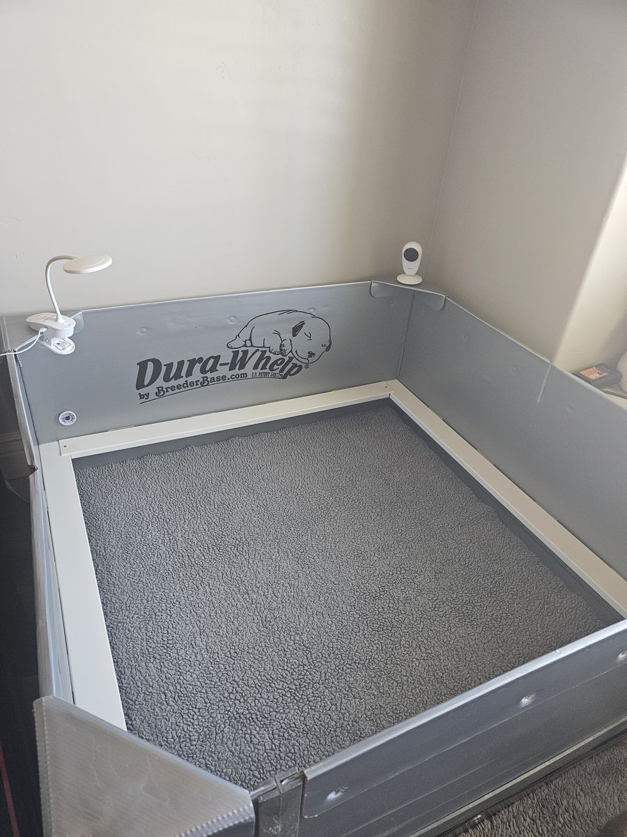 48 X 48 Dura-Whelp Whelping Box with Dura-Whelp Mat and Extras