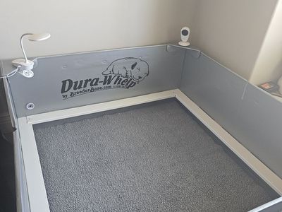 48 X 48 Dura-Whelp Whelping Box with Dura-Whelp Mat and Extras