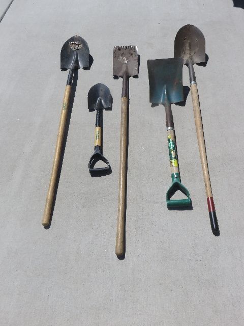 LOT OF 5 SHOVELS - SELLING AS A SINGLE LOT FOR A SINGLE PRICE!