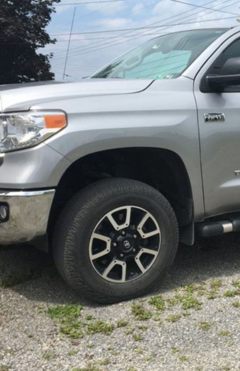 WTB Stock Tundra Wheels