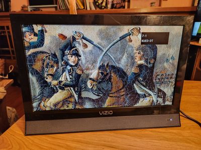 Vizeo 19 inch HD TV with remote. Works perfect.