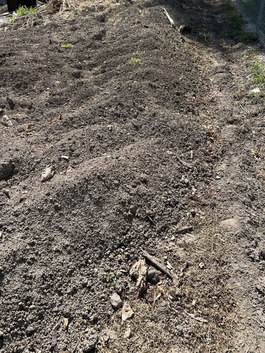 Top Soil/Dirt