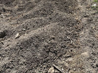 Top Soil/Dirt