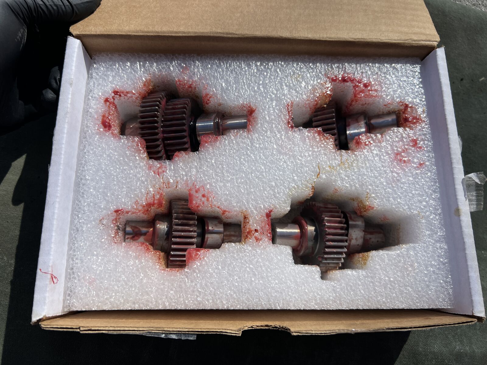 2016 Harley Davidson 1200CX Sportster Roadster Stock W Cams