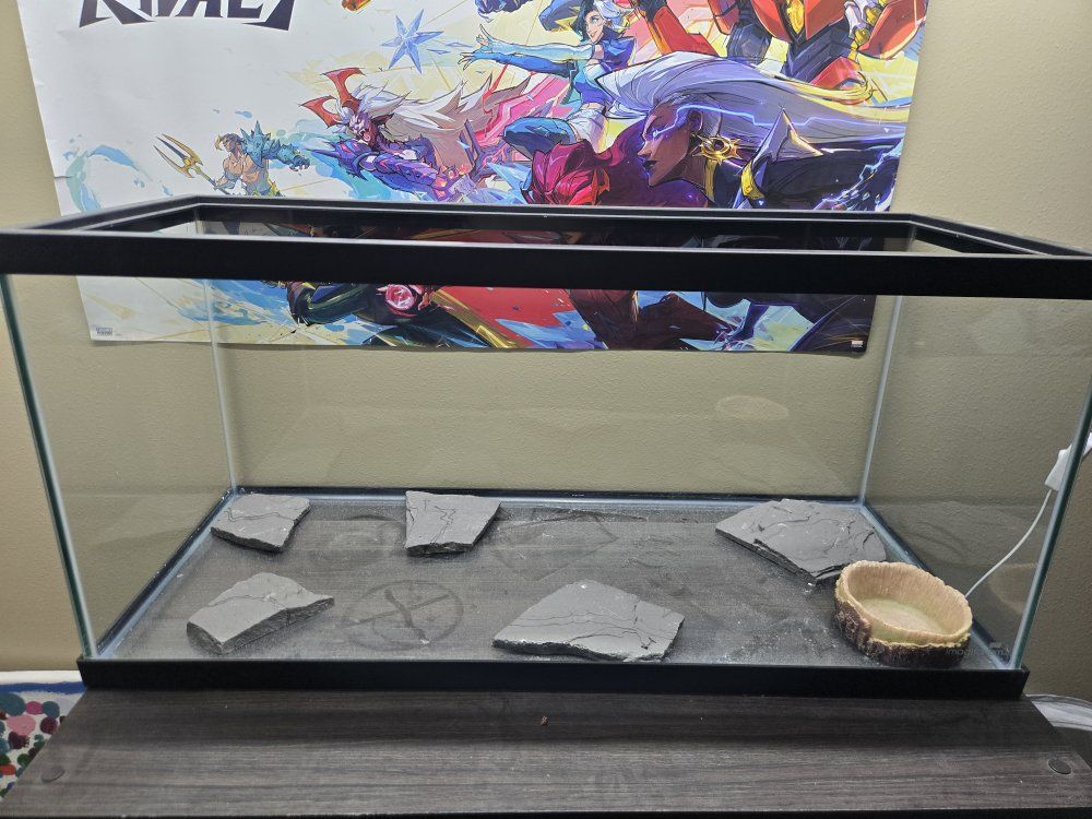 New Imagitarium 20 Gallon Glass Reptile Tank Terrarium Aquarium with Slate Pieces and Water Dish
