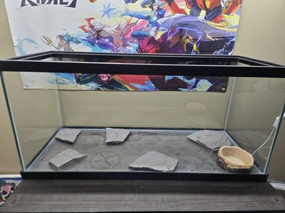 New Imagitarium 20 Gallon Glass Reptile Tank Terrarium Aquarium with Slate Pieces and Water Dish