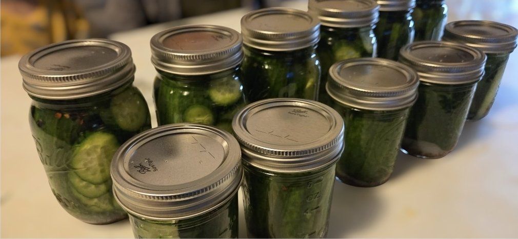 canned pickles! 2026