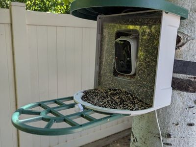 Birdfeeder camera with solar panel and wifi