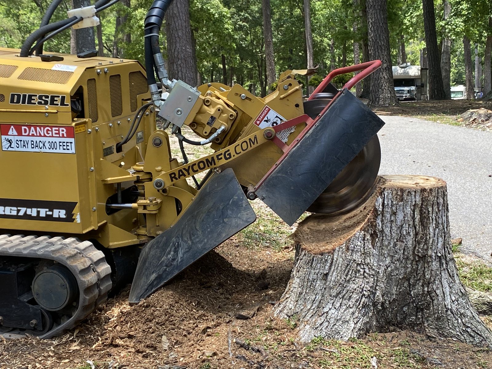 Same Day Stump Grinding