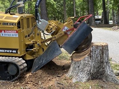 Same Day Stump Grinding