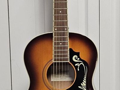 Ibenez Parlor guitar