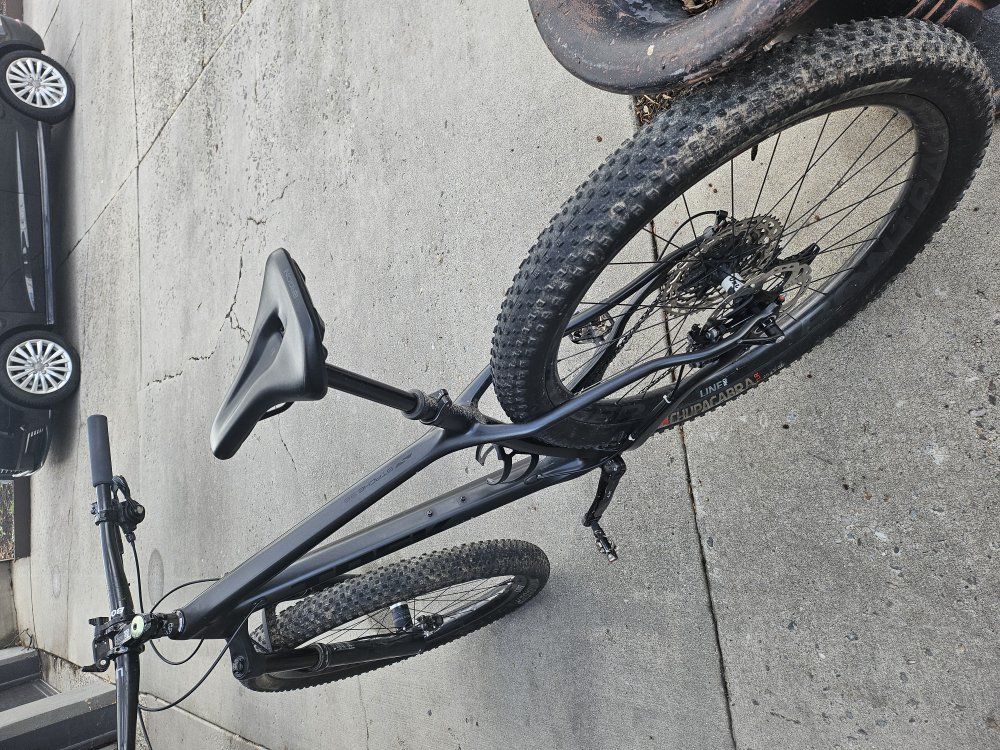 large Trek Stache 9.6