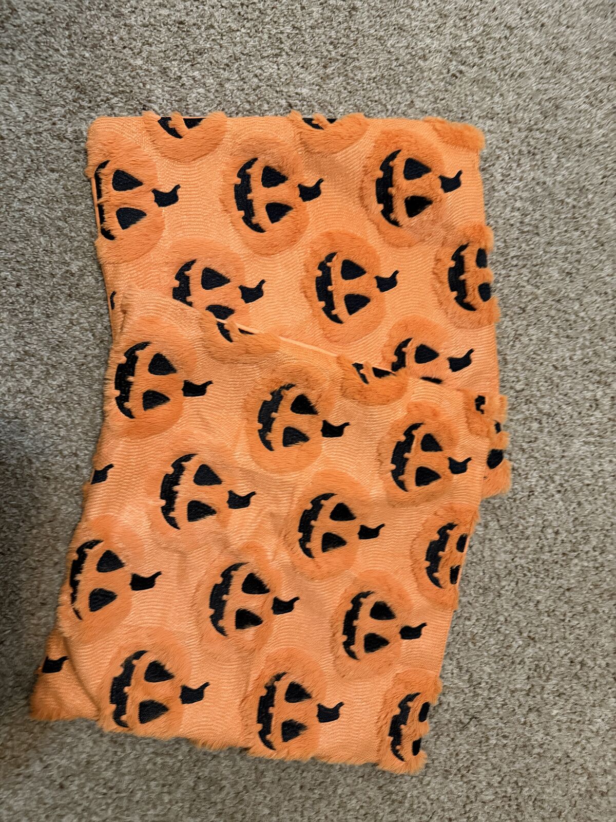 Halloween pillow covers