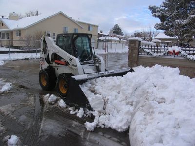 S300 Bobcat Skidster