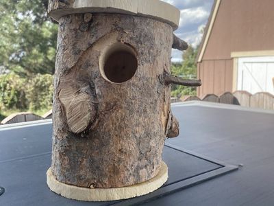 Bird house
