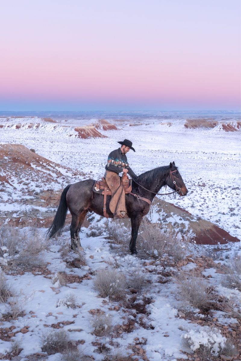 Blue Roan Horse - Gelding