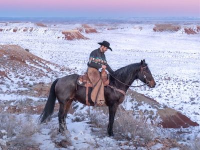 Blue Roan Horse - Gelding