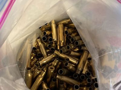 Cleaned .308 Brass