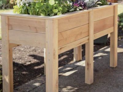 Planter Boxs