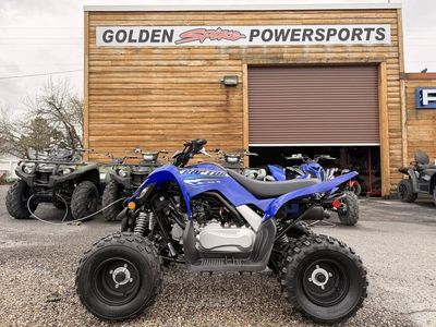 2026 Yamaha Raptor 110