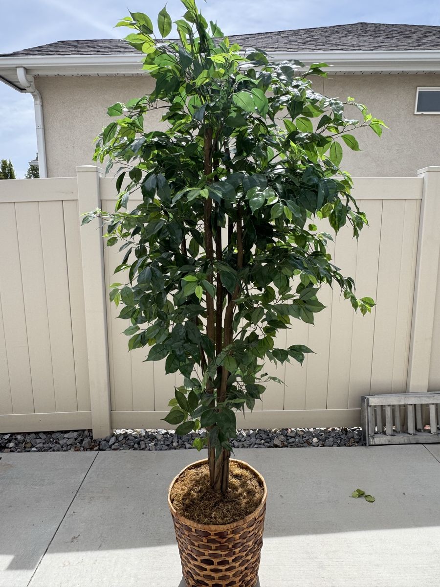 Fake tree