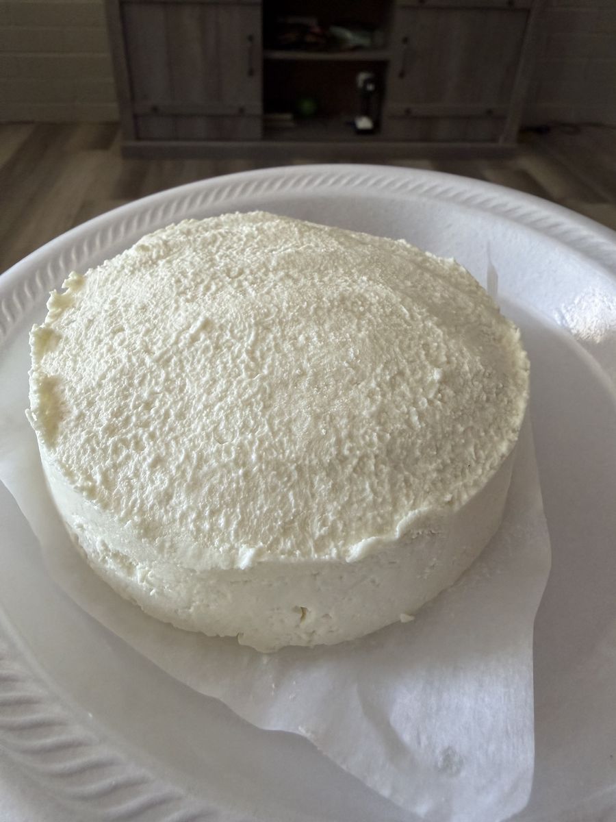 Fresh goat cheese for sale $5