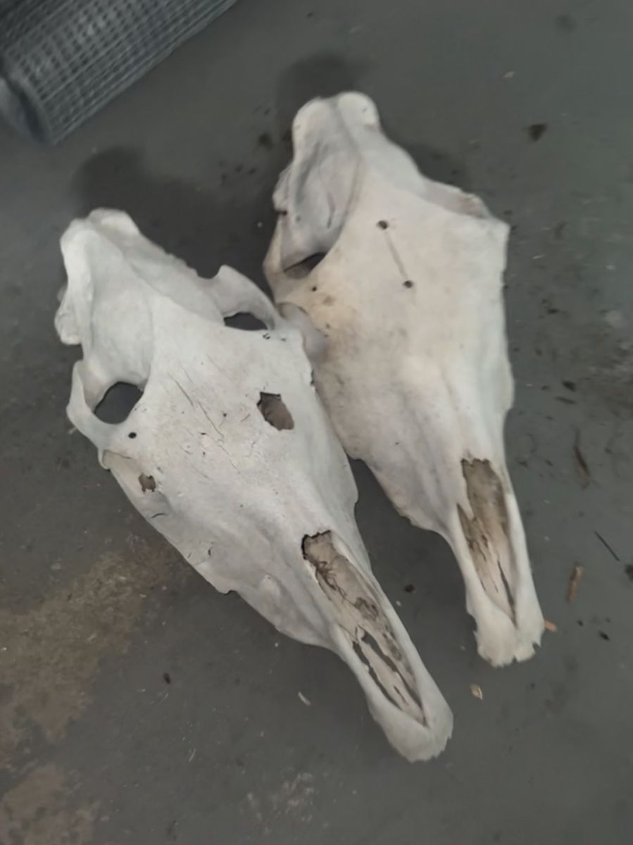 Main image 17