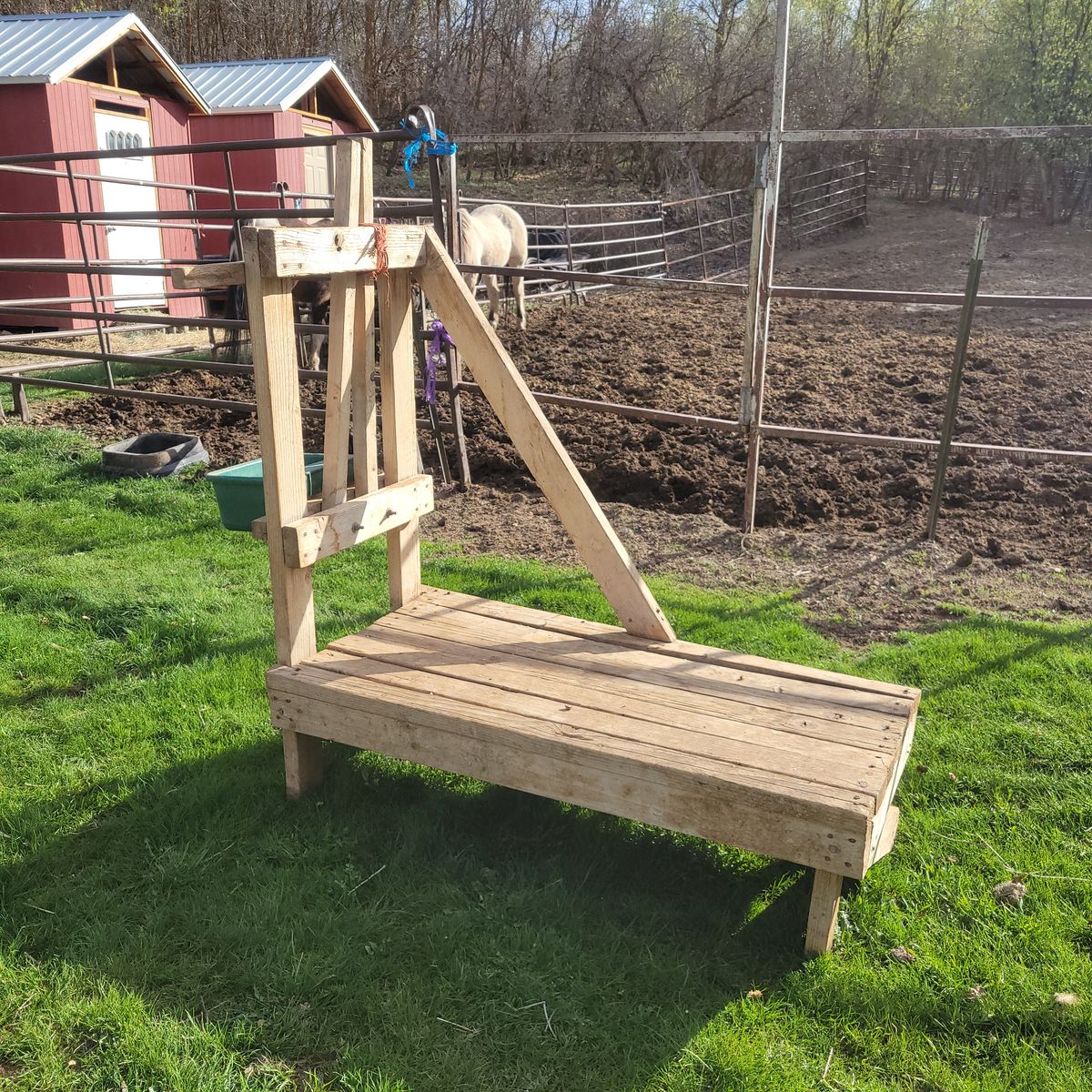 Goat Milking Stand
