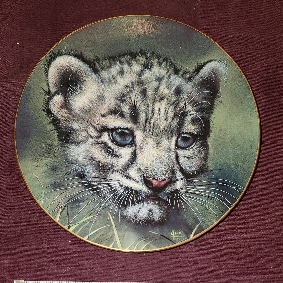 "Snow Leopard Cub" Plate Cubs of the Big Cats Coll