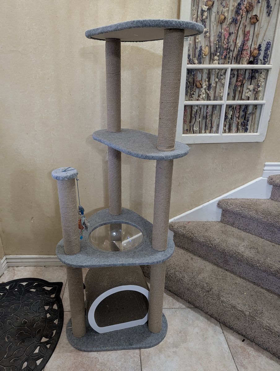 Cat scratch post