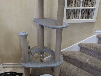 Cat scratch post