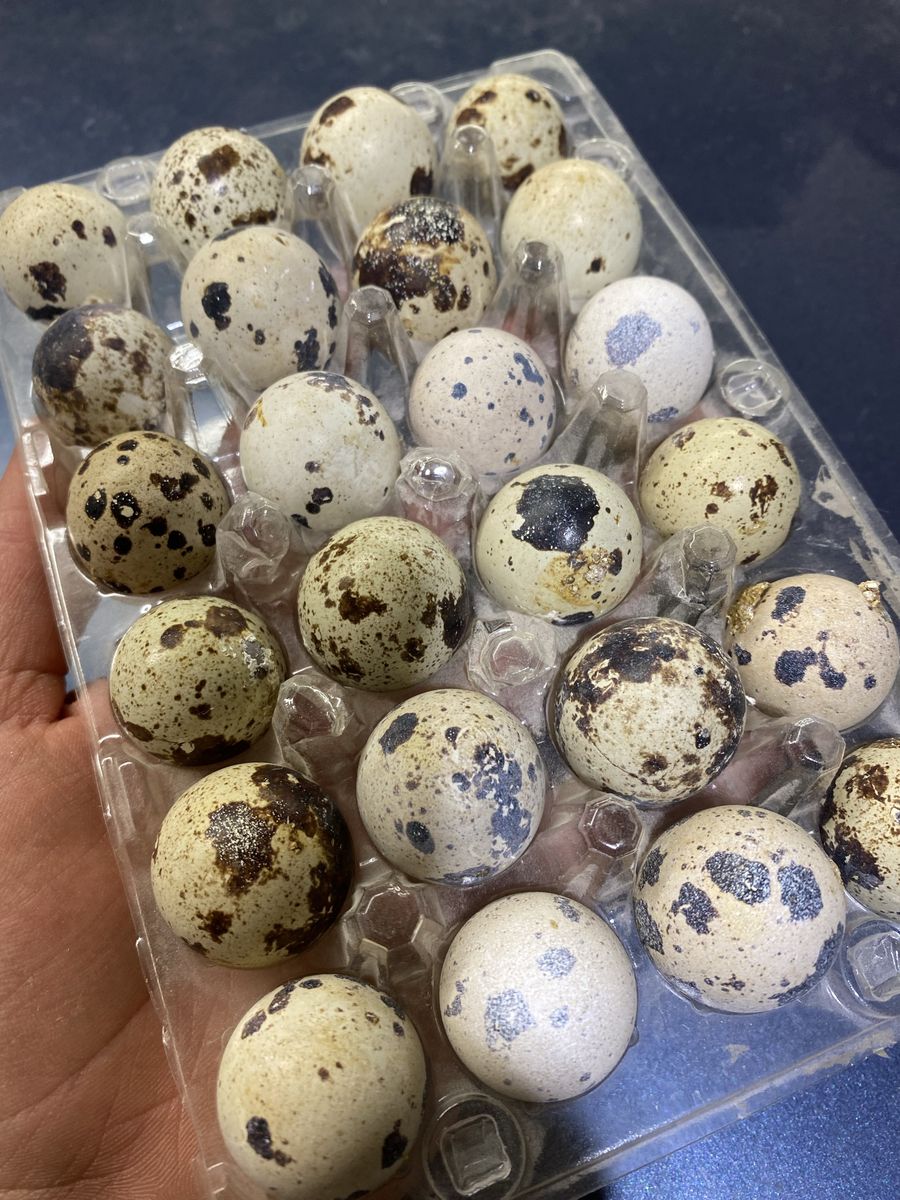 Quail Eggs for Eating