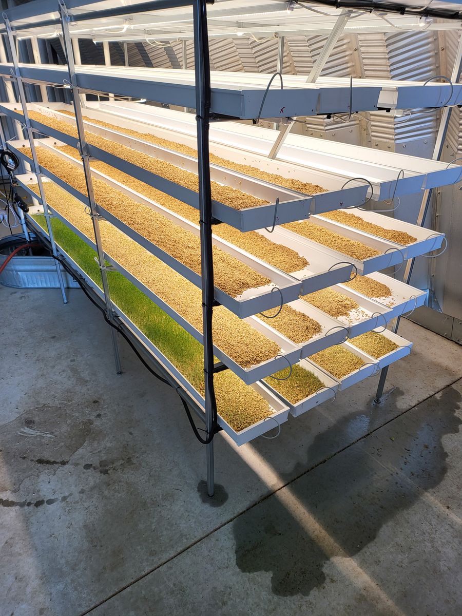 Crop King Commercial Fodder System