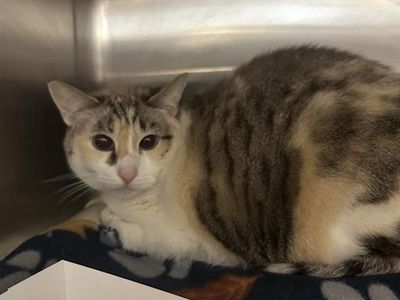 Hello my name is Star