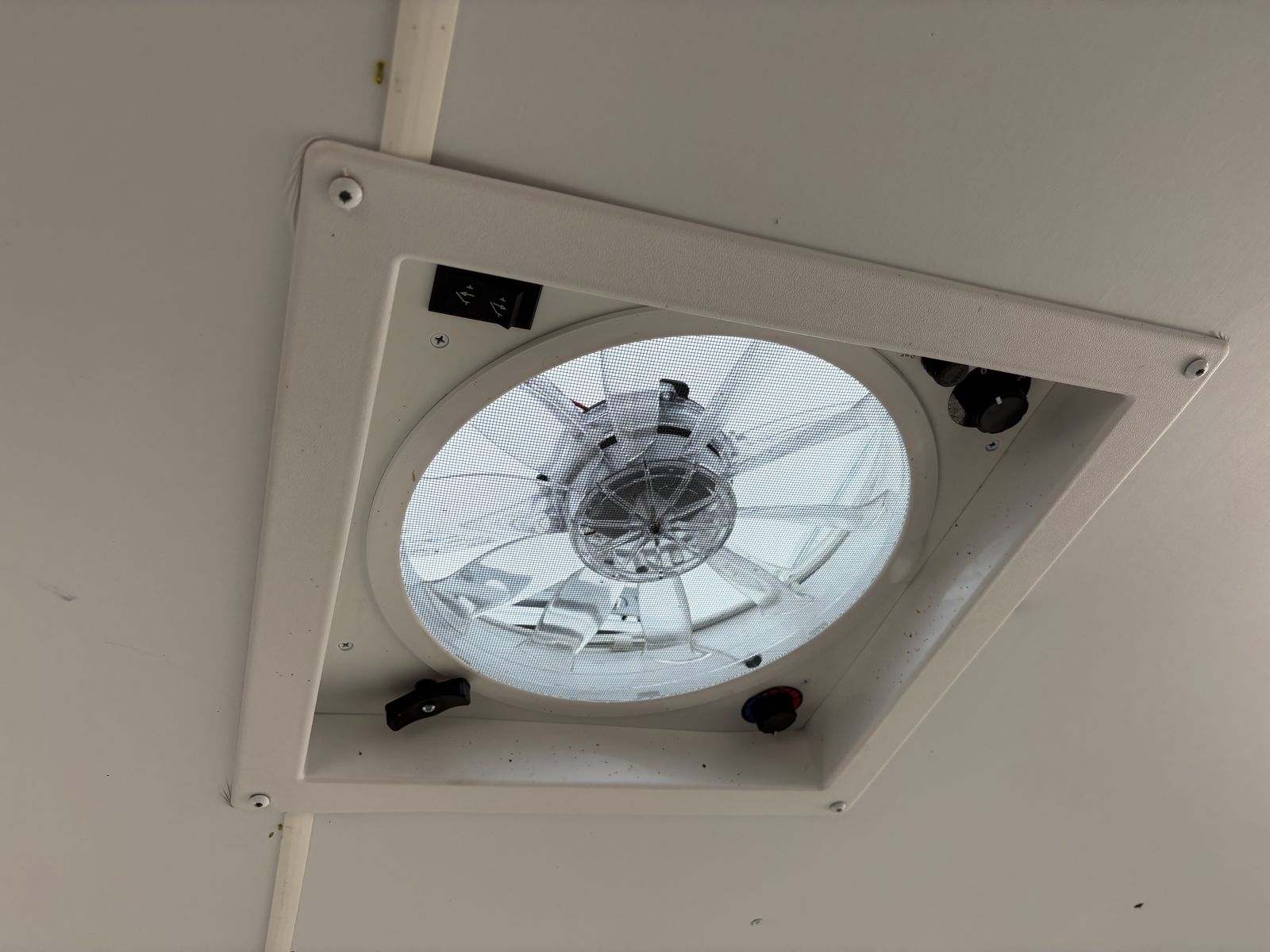 Main image 20